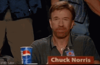 Chuck Norris Approve GIF