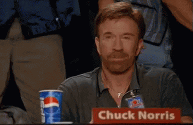 Chuck Norris Approved GIF