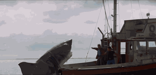 Chuck Norris Legend GIF