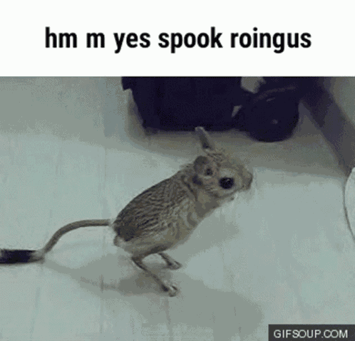 Chungus Roingus GIF