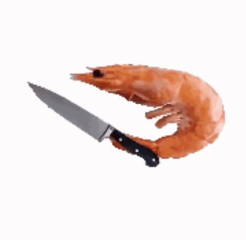 Ci GIF