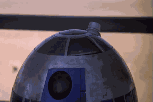 Circlegame Circle Game GIF