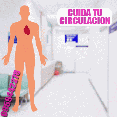 Circulmac Circulmac Reforzado GIF
