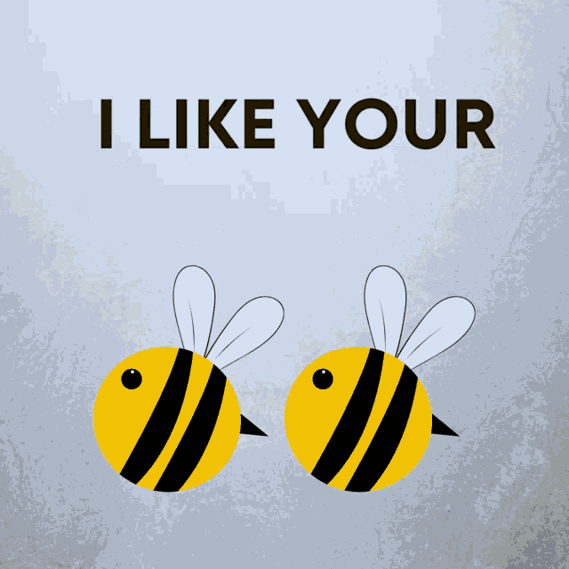 Clam River Honey Bees GIF