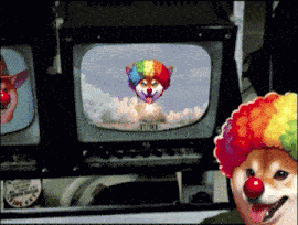 Clown Dog Idoge GIF