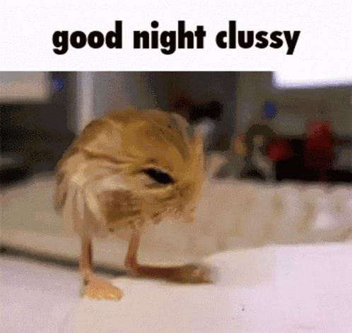 Clussy Clan Good Night GIF
