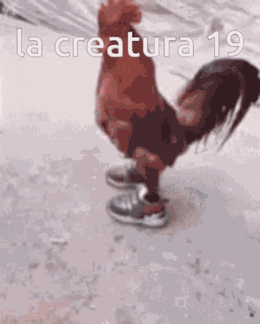 Cock La Creatura GIF
