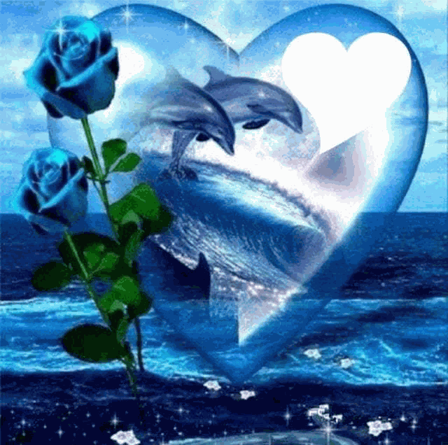 Coeur Et Dauphins Meme