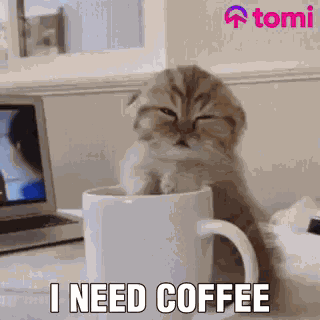Coffee Need Coffee GIF