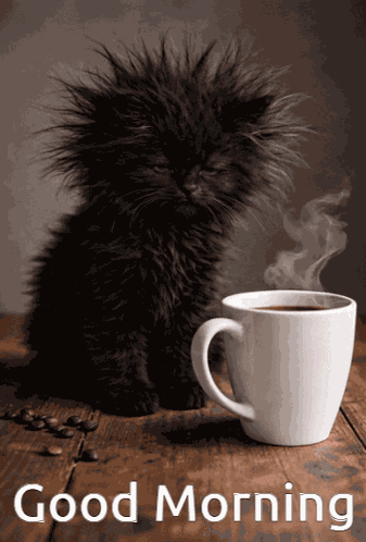 Coffee Time Good Morning GIF