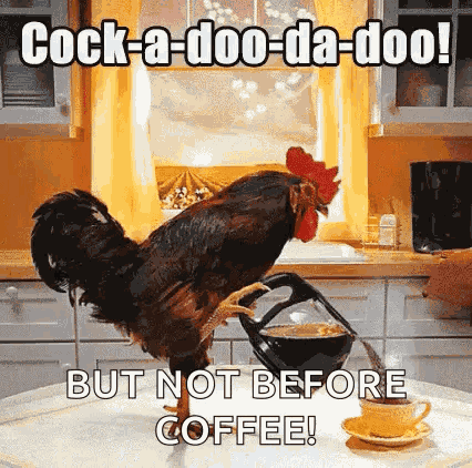 Coffee Time Rooster GIF