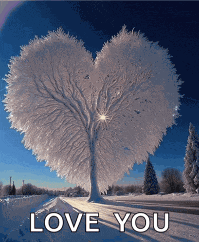 Cold Good Morning Winter Meme