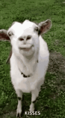 Coldoutside Loveyou GIF