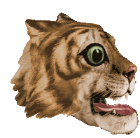 Colin Raff Grotesque Sticker