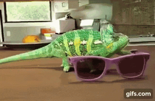 Color Changing Chameleon GIF