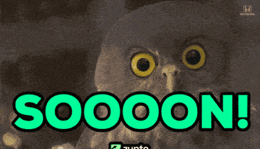 Coming Soon Crypto GIF