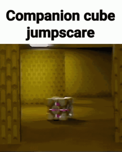 Companion Cube Cube GIF