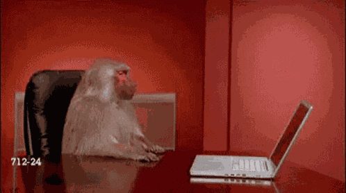 Computer Says GIF
