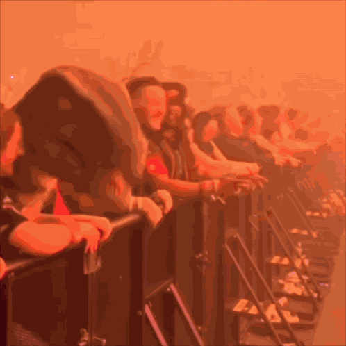 Concert Crowd GIF