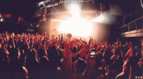 Concert GIF
