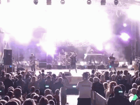 Concert GIF