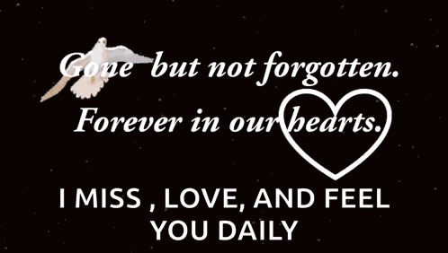 Condolences Sympathy GIF