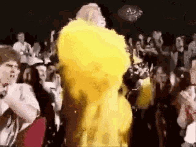 Confetti Rip Taylor GIF