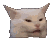 Confused Cat Sticker