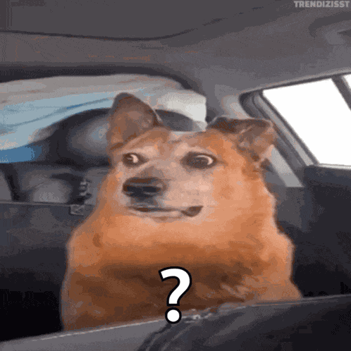 Confused Huh GIF
