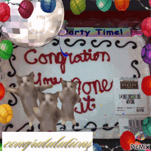 Congratulations Congration You Done It GIF