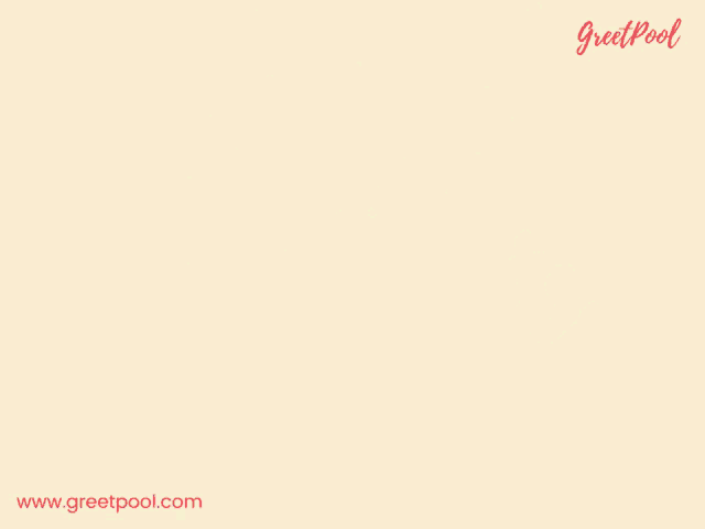 Congratulations Congratulations Images GIF