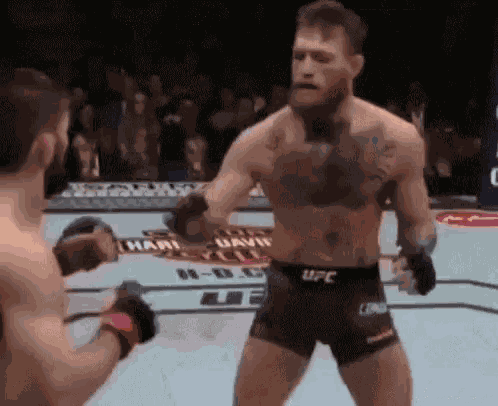 Conor Mc Gregor Punch GIF