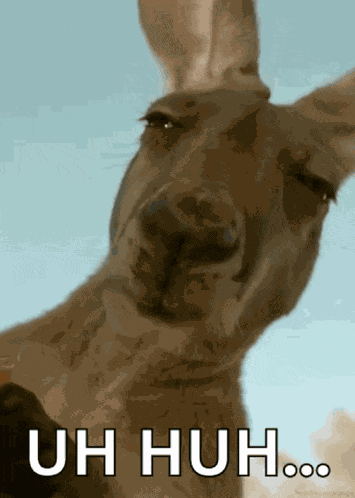 Contemplating Thinking GIF