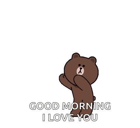 Cony Brown Cony And Brown GIF