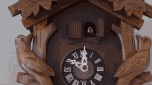 Cookoo Clock Cuckoo Clock GIF