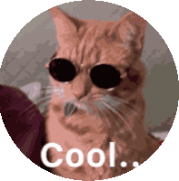 Cool Cat Sticker