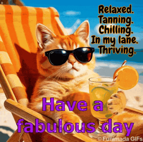 Cool Cat Have A Fabulous Day GIF