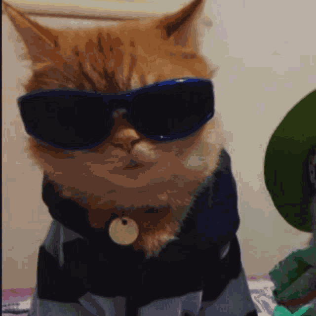 Cool Cat Thug Life Glasses Meme
