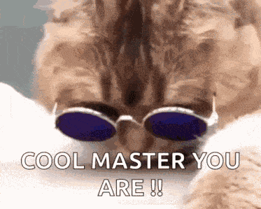 Cool Cat GIF