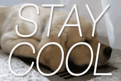 Cool Stay Cool GIF