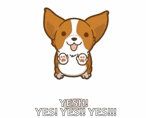 Corgi Cute GIF