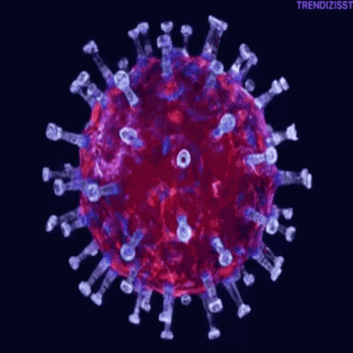 Coronavirus Covid19 GIF
