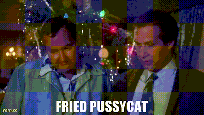 Cousin Eddie Cat Christmas Vacation Cat GIF