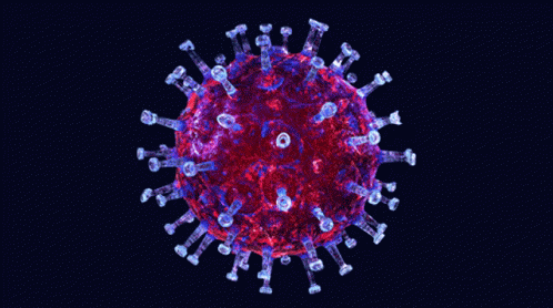 Covid19 Cell GIF