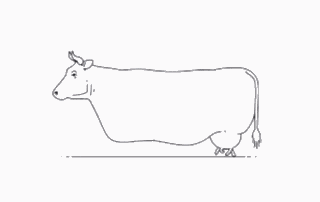 Cow Cowboy GIF
