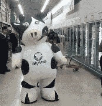 Cow Dance GIF