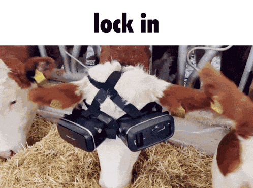Cow Vr GIF