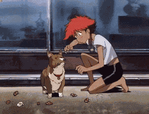 Cowboy Bebop Ein GIF