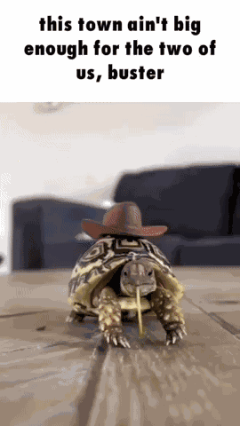 Cowboy Hat GIF