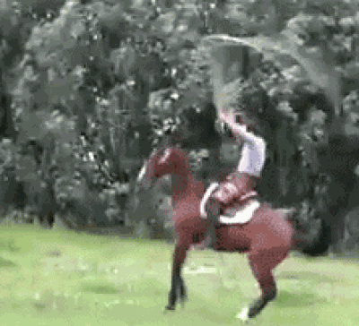 Cowboy GIF